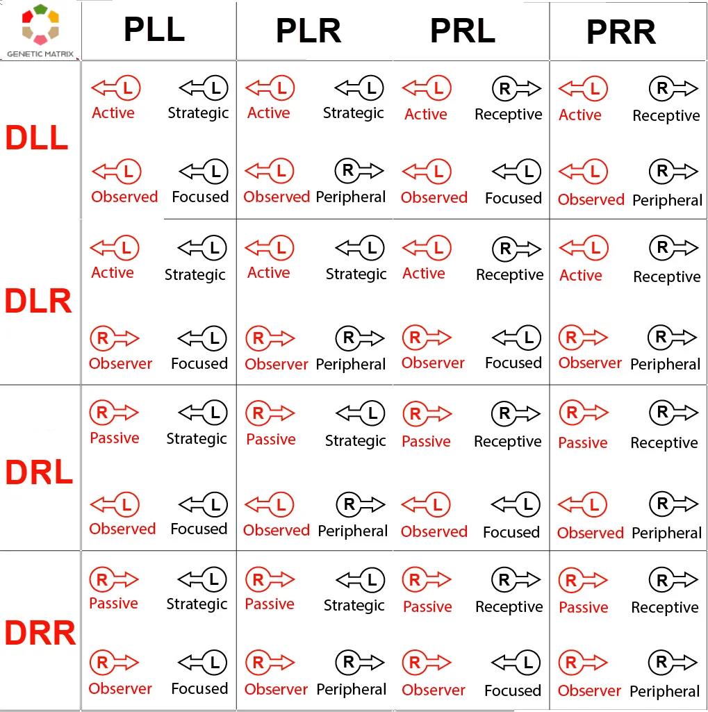 The 16 Variable configurations showing all combinations of left and right arrows across Brain Style, Environment Style, Mind Style, and Perspective