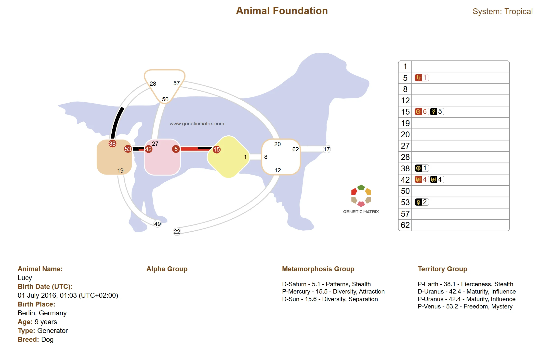 Example Animal Design chart from Genetic Matrix