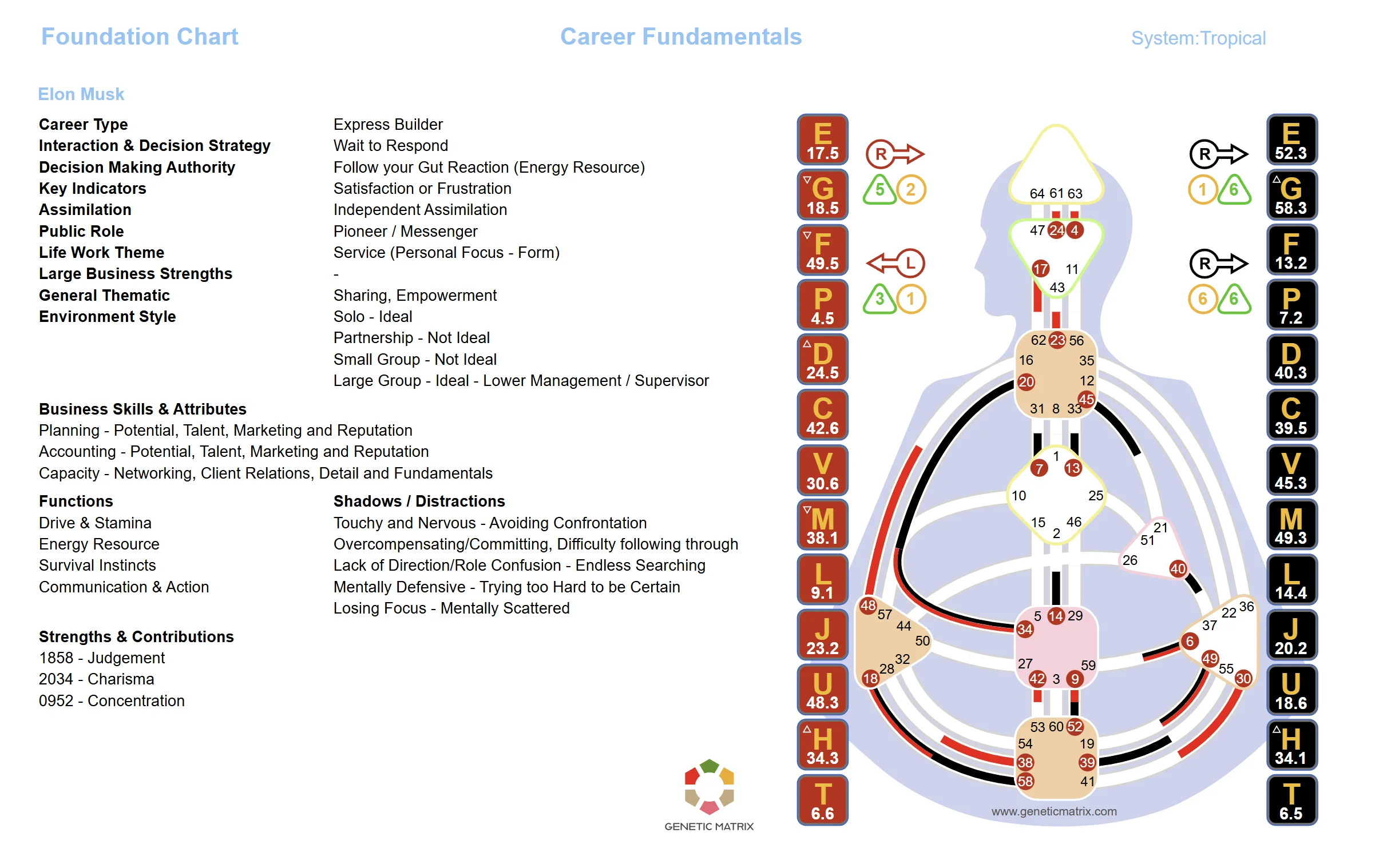Business-oriented group analysis chart showing how transpersonal mechanics translate into practical team analysis