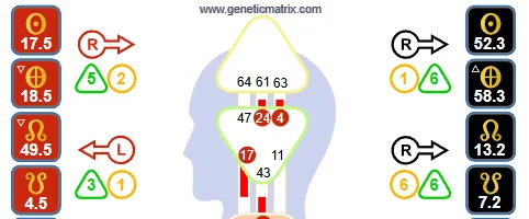 Human Design Bodygraph showing the four Variable arrows positioned around the head and nodes area